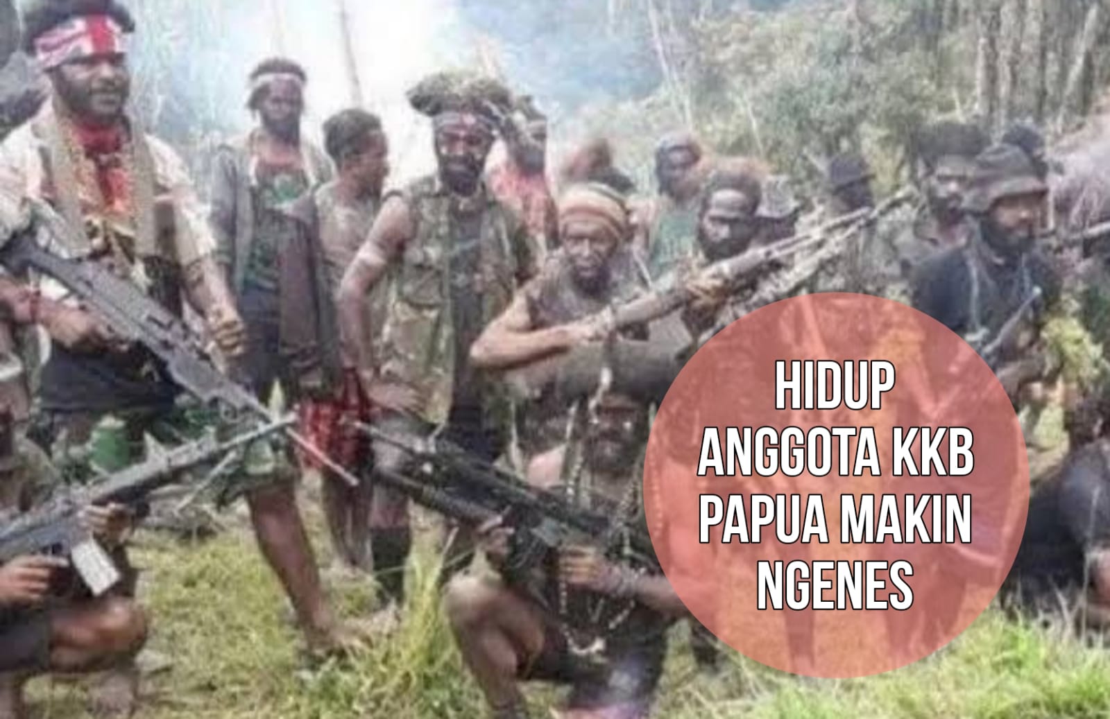 Pemasok Senjata Ditangkap, Hidup Anggota KKB Papua Makin Terhimpit dan Ngenes di Hutan