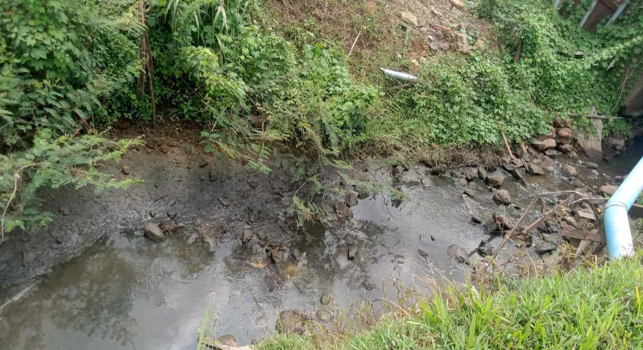Warga Desa Tumbuan Seluma Kecewa PT AIP Bantah Cemari Sungai