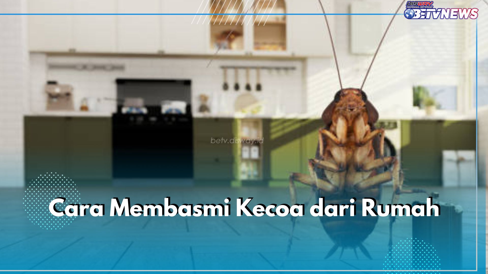 Geli dan Bikin Kotor, Ini 6 Cara Mudah untuk Basmi Kecoa di Rumah