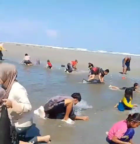 Heboh! Ribuan Ekor Ikan Terdampar di Tepi Pantai Kungkai Baru Seluma Jadi Rebutan Warga