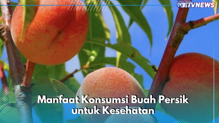 Cek di Sini! Manfaat dari Konsumsi Buah Persik, Ampuh Melancarkan Pencernaan