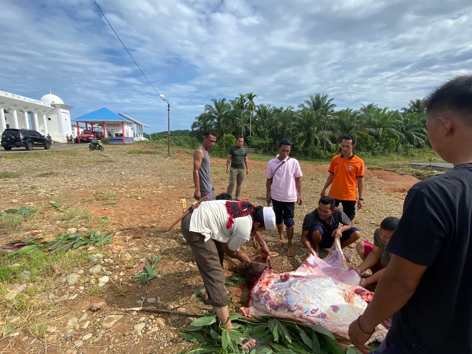 Bantu Masjid Kekurangan Hewan Kurban, Pemkot Bengkulu Salurkan 46 Ekor ke Seluruh Kecamatan