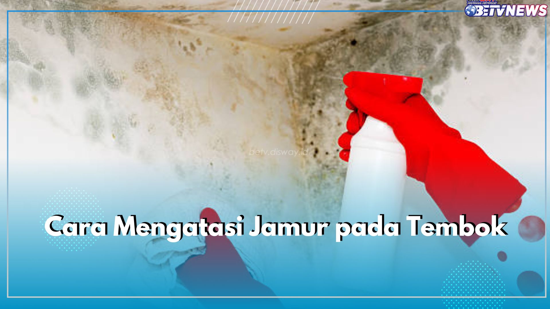 5 Cara Efektif Hilangkan Jamur Pada Tembok, Bisa Gunakan Pemutih Pakaian