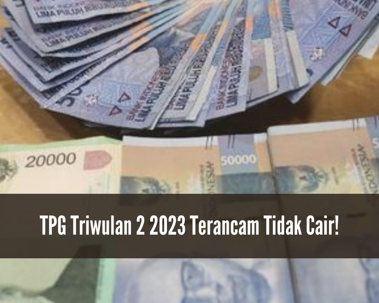 TPG Triwulan 2 2023 Terancam Tidak Cair, Ini Penyebabnya, Sudah Tahu?