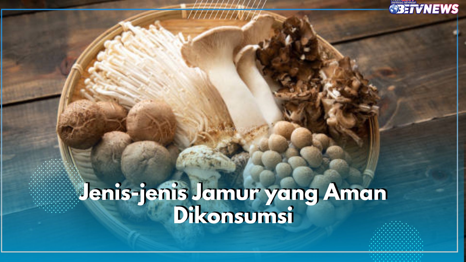  Jamur Tiram hingga Maitake, 7 Jenis Jamur Ini Lezat dan Aman Dikonsumsi, Mana Favoritmu?