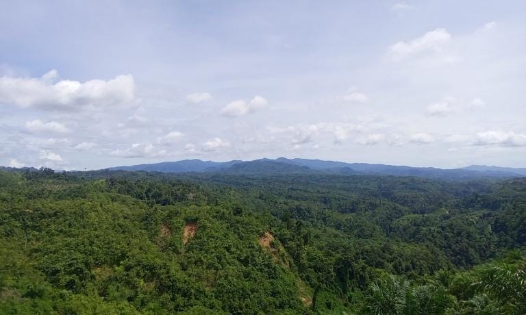 Bupati Harap Rencana Eksploitasi Tambang Emas di Kawasan Bukit Sanggul Tingkatkan Ekonomi Masyarakat