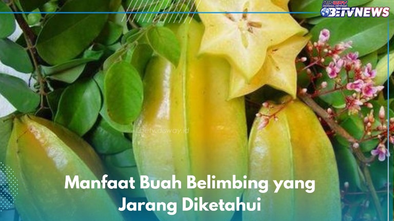 Buah Belimbing Ampuh Mencegah Maag Kambuh, Cek Manfaat Lainnya