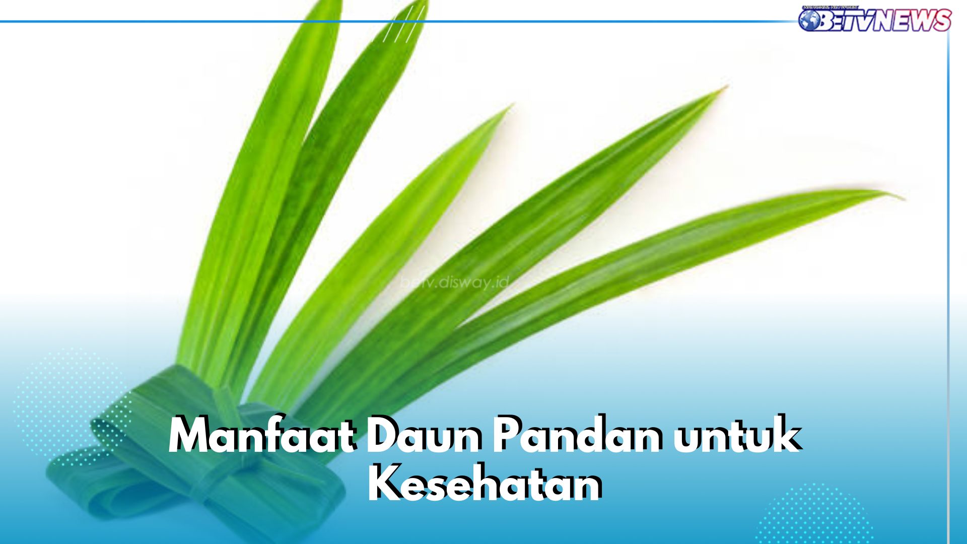 Bukan Cuma Perlezat Makanan, Ini 5 Manfaat Daun Pandan untuk Kesehatan