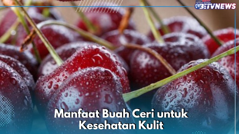 Manfaat Buah Ceri bagi Kesehatan Kulit, Cek di Sini! Auto Wajah Makin Terlindungi