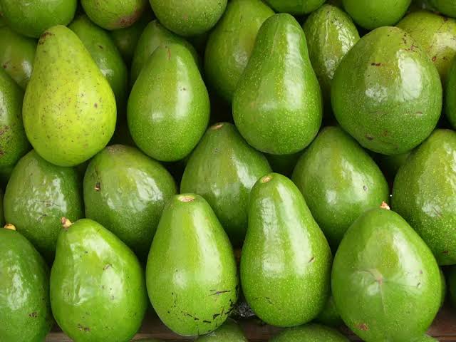 5 Daftar Negara Penghasil Alpukat Terbesar di Dunia, Indonesia Nomor Berapa?