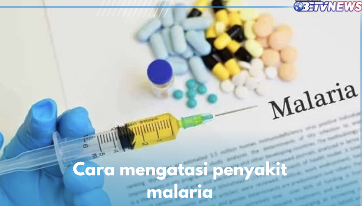 7 Cara Atasi Malaria yang Boleh Dicoba, Konsumsi Obat hingga Terapi