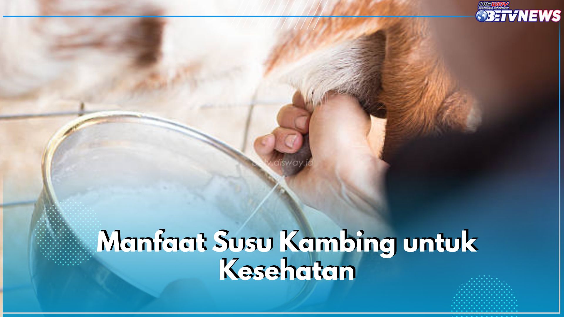 Ini 6 Manfaat Susu Kambing untuk Kesehatan yang Kamu Perlu Tahu, Lebih Baik dari Susu Sapi?