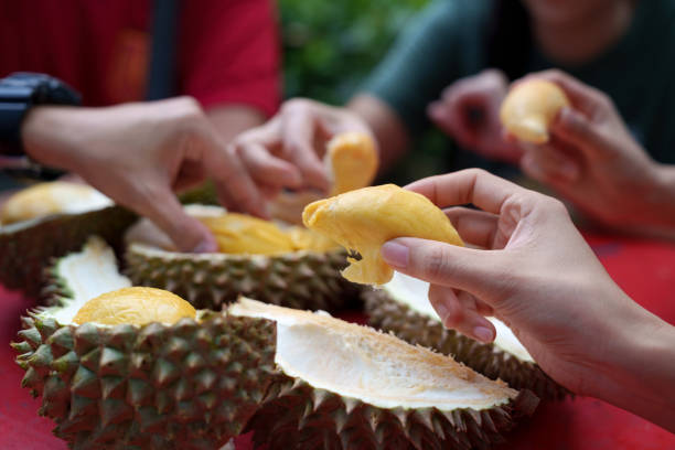 Musim Durian Datang Lagi! Jangan Konsumsi Terlalu Banyak Jika Tidak Ingin Terkena 5 Penyakit Ini