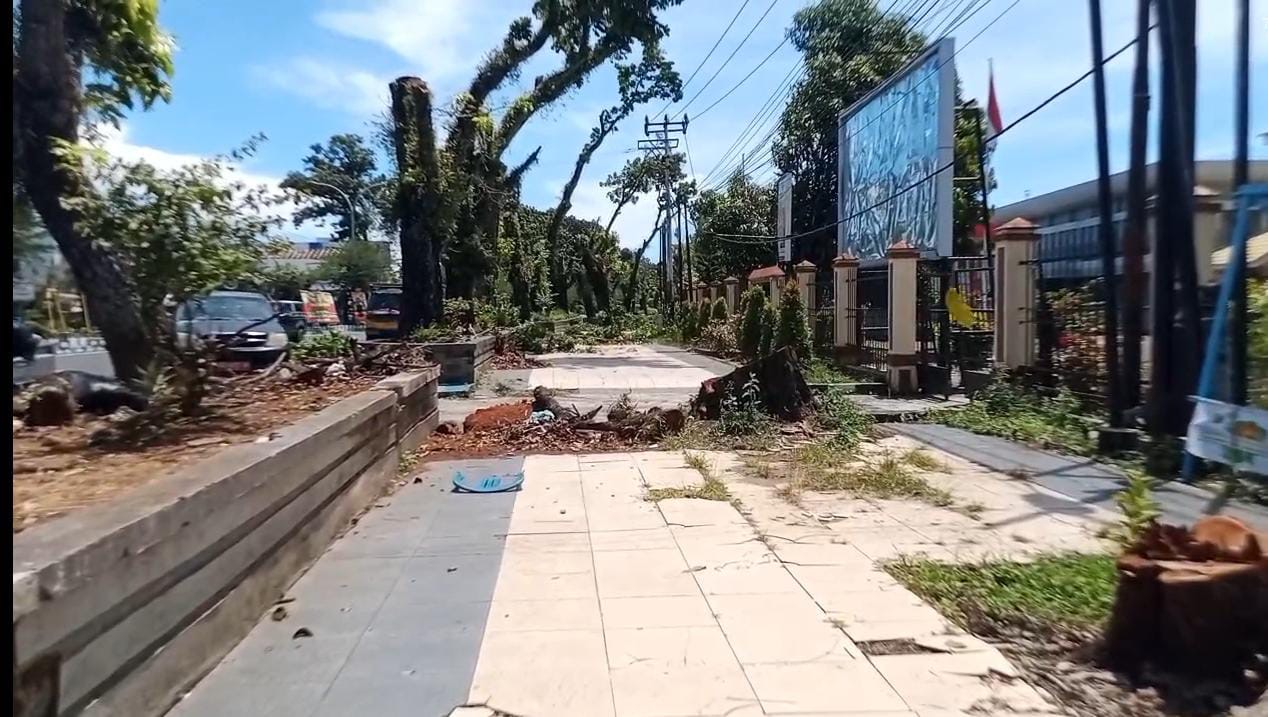 Disulap Mirip Malioboro, DLH Kota Bengkulu Pangkas Pohon di Jalan S. Parman