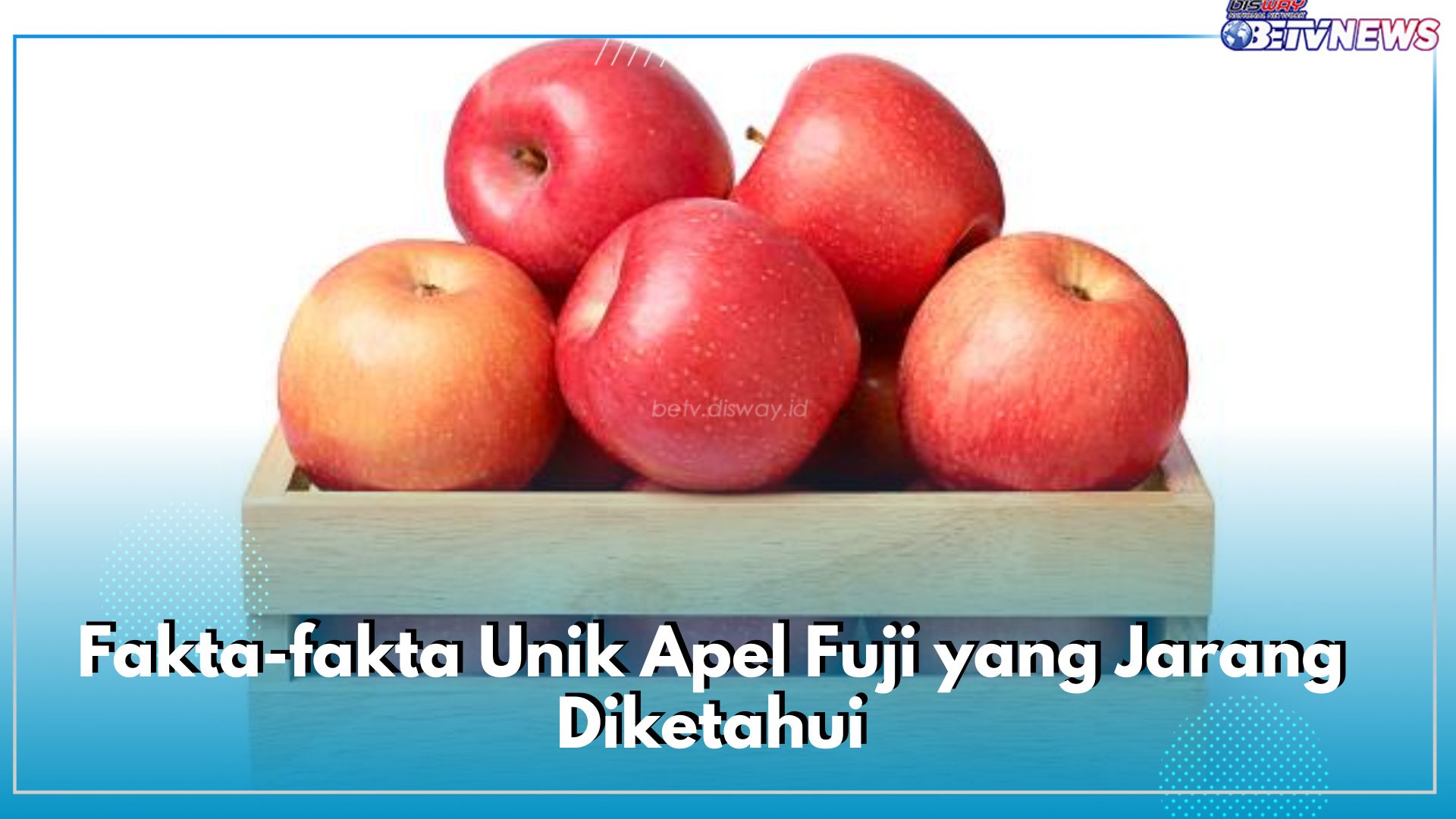 Bibitnya Tidak Berasal dari Jepang, Ini Fakta-fakta Unik Apel Fuji yang Jarang Diketahui