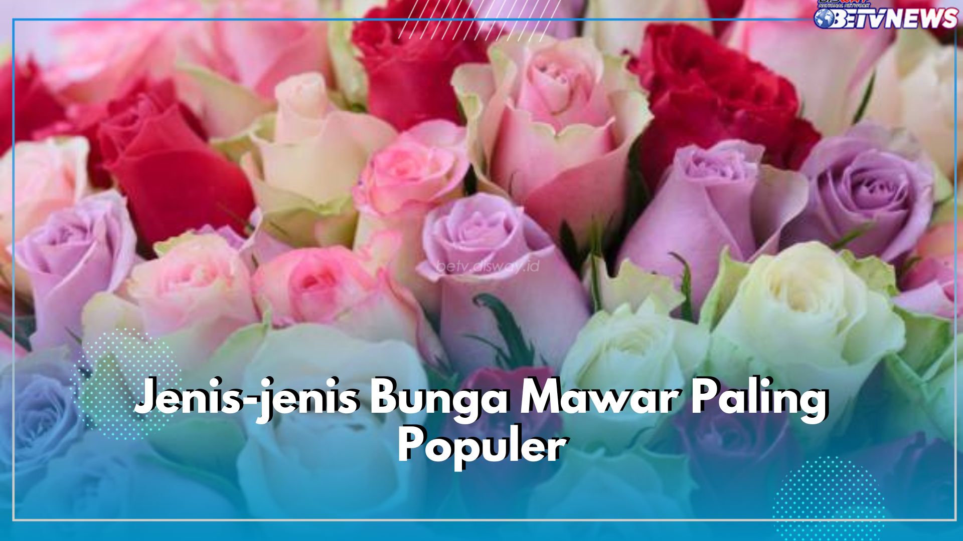 10 Jenis Bunga Mawar Paling Populer, Ada Hybrid Tea hingga Mawar Damask