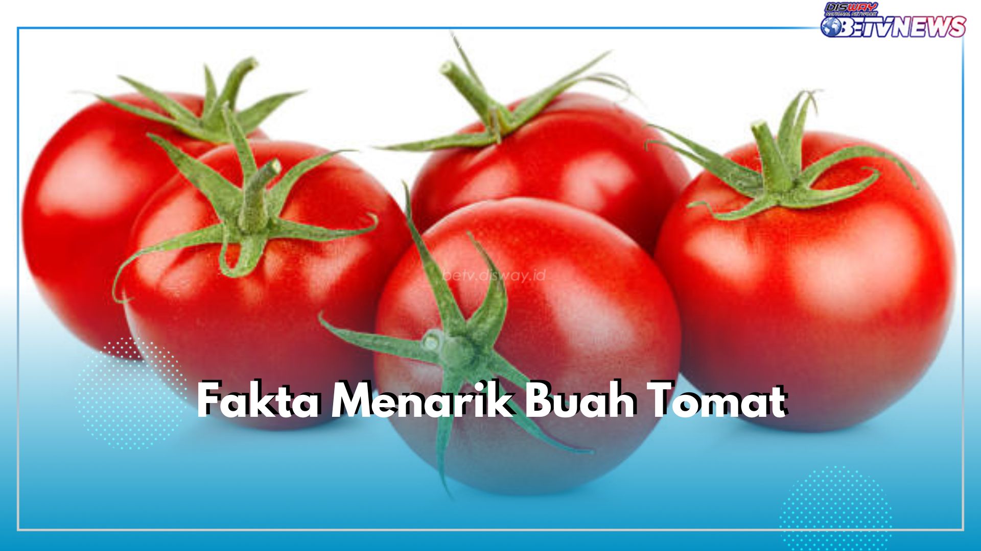 Ini 8 Fakta Menarik Buah Tomat yang Perlu Kamu Ketahui, Nomor 3 Tidak Terduga!