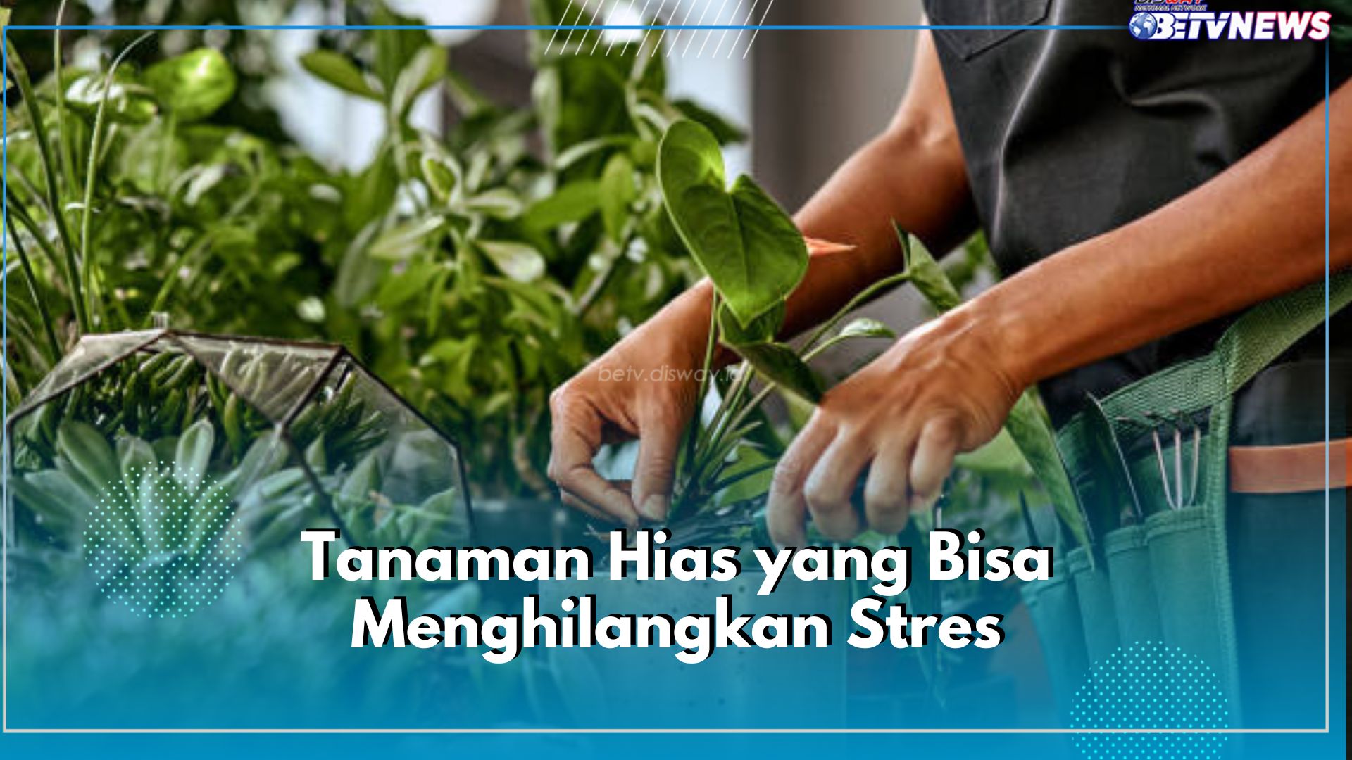 5 Jenis Tanaman Ini Bisa Bantu Hilangkan Stres, Yuk Tanam di Rumah!