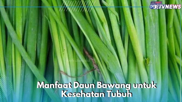 Daun Bawang Ampuh Mencegah Infeksi, Ini 7 Manfaat yang Perlu Diketahui