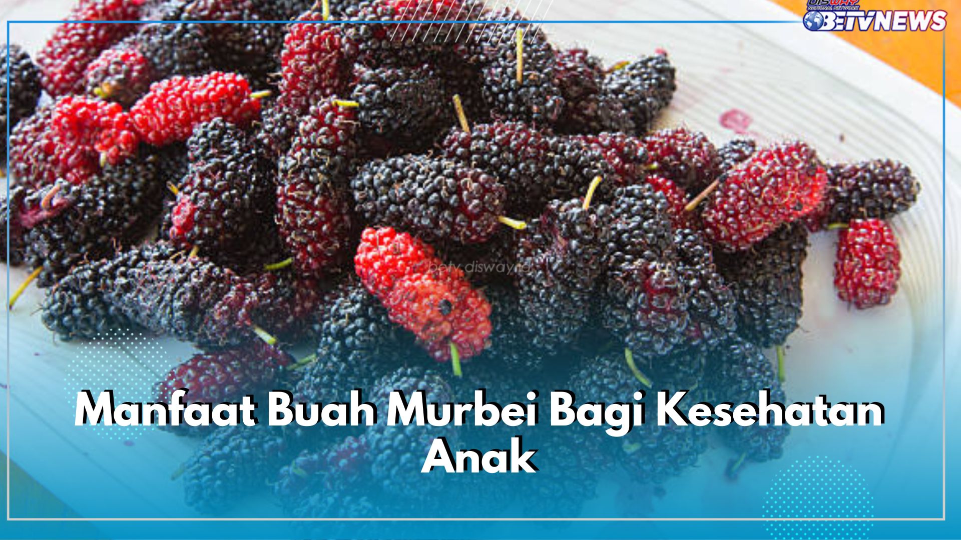 Mengandung Ragam Vitamin, Ini 10 Manfaat Mengonsumsi Buah Murbei Bagi Kesehatan Anak