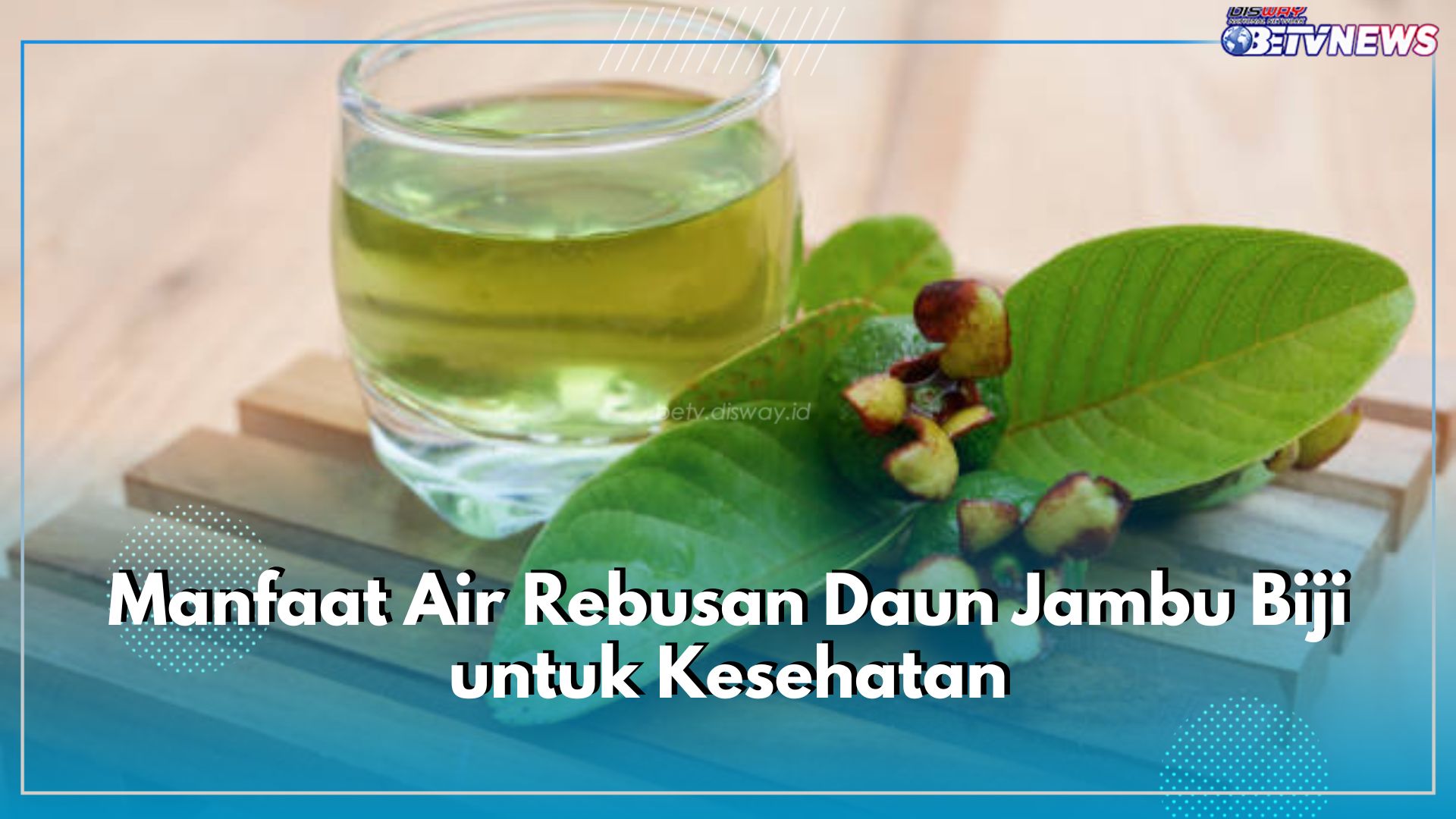 6 Manfaat Air Rebusan Daun Jambu Biji untuk Obat Herbal, Bisa Obati Diare hingga Turunkan Gula Darah