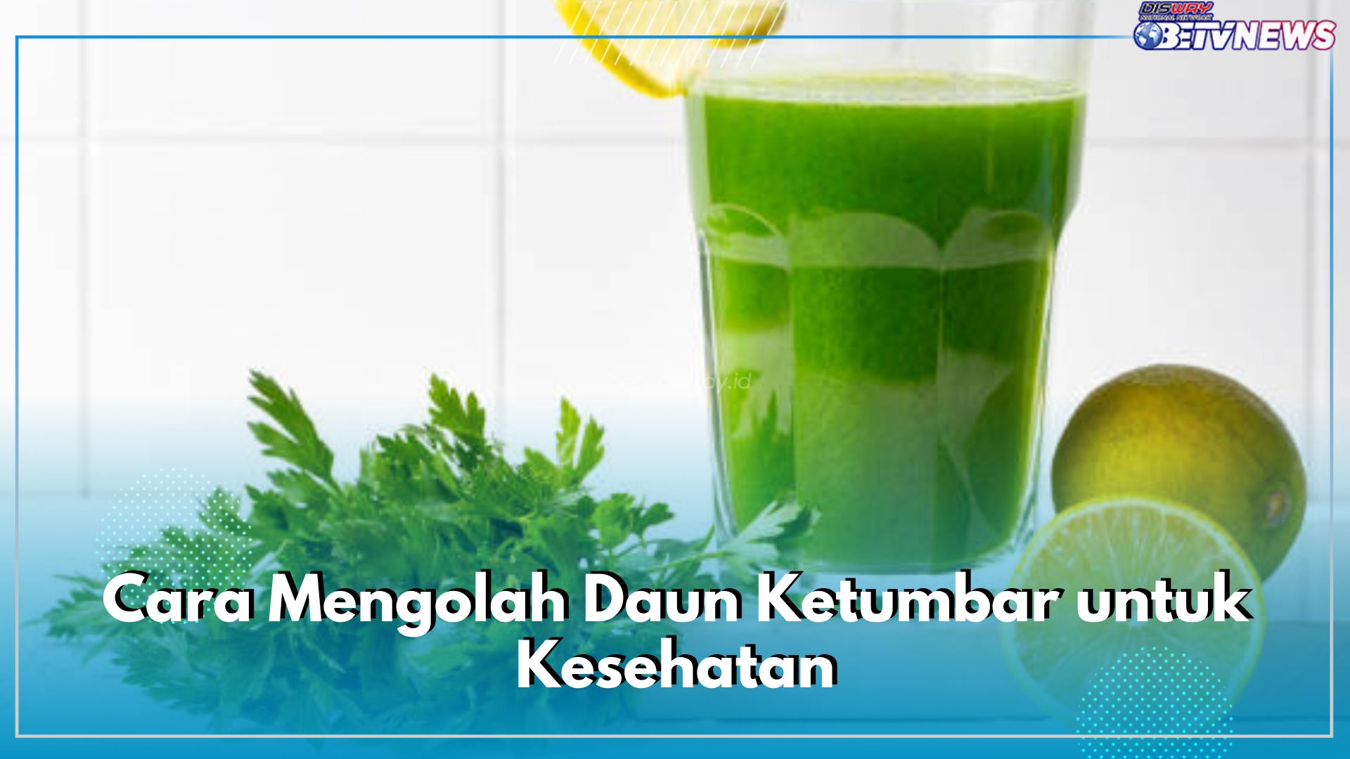 Berkhasiat untuk Kesehatan, Ini 5 Cara Mengolah Daun Ketumbar Menjadi Minuman dan Produk Herbal