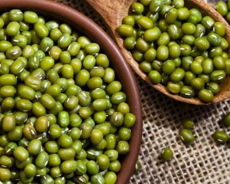 Cek Manfaat Kacang Hijau bagi Kesehatan, Bisa Bantu Melancarkan Pencernaan
