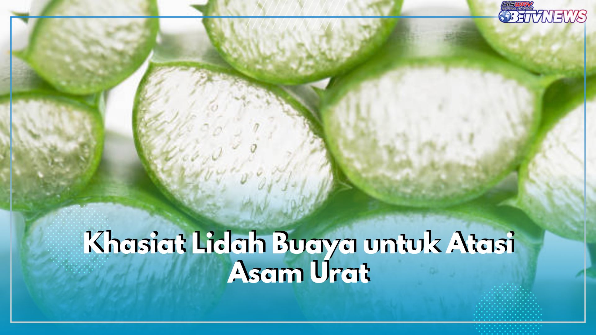 Sudah Tahu Khasiat Lidah Buaya untuk Atasi Asam Urat? Ini Cara Pakainya