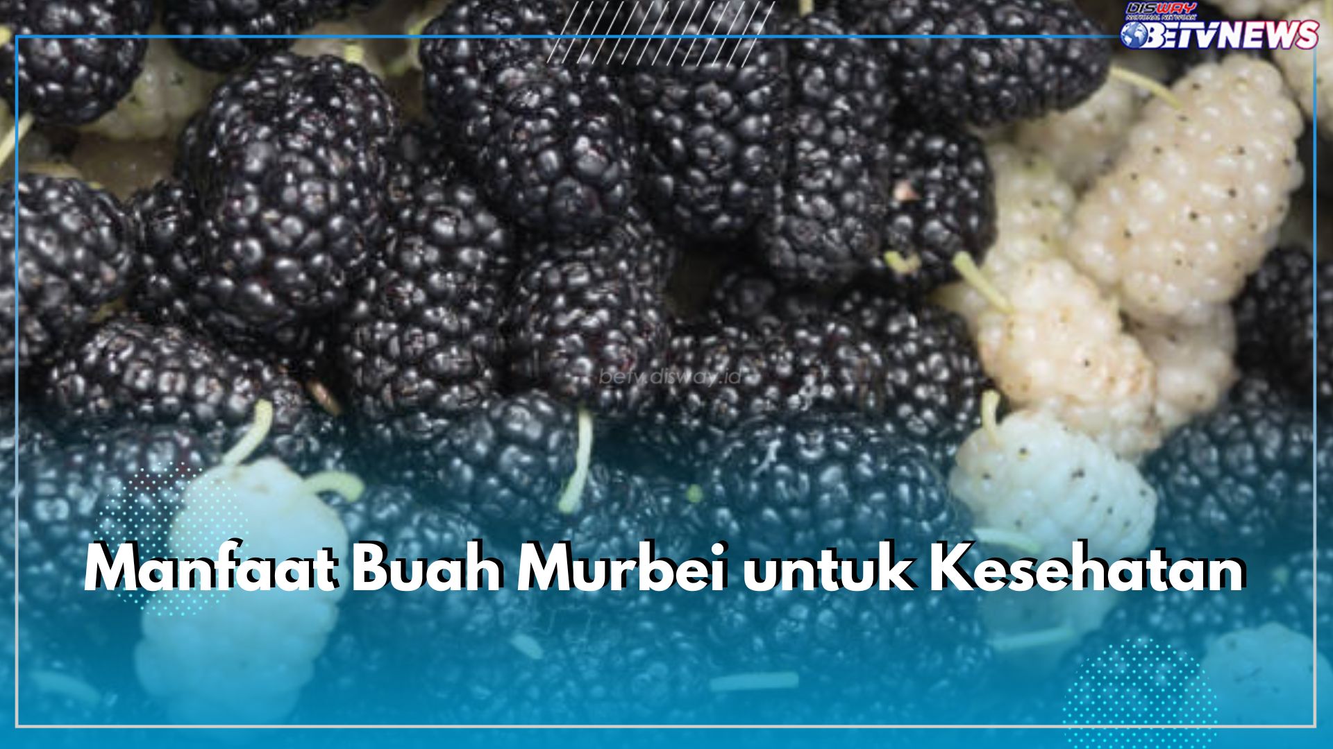 Jarang Diketahui, Cek kandungan Nutrisi dan Ragam Manfaatnya untuk Kesehatan