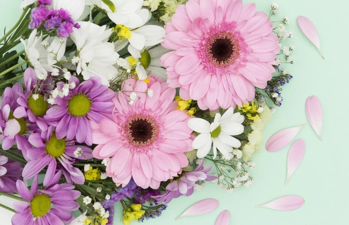 Ini Arti Dibalik Warna Putih Hingga Biru dari Bunga Aster, Bikin Penasaran Kan?