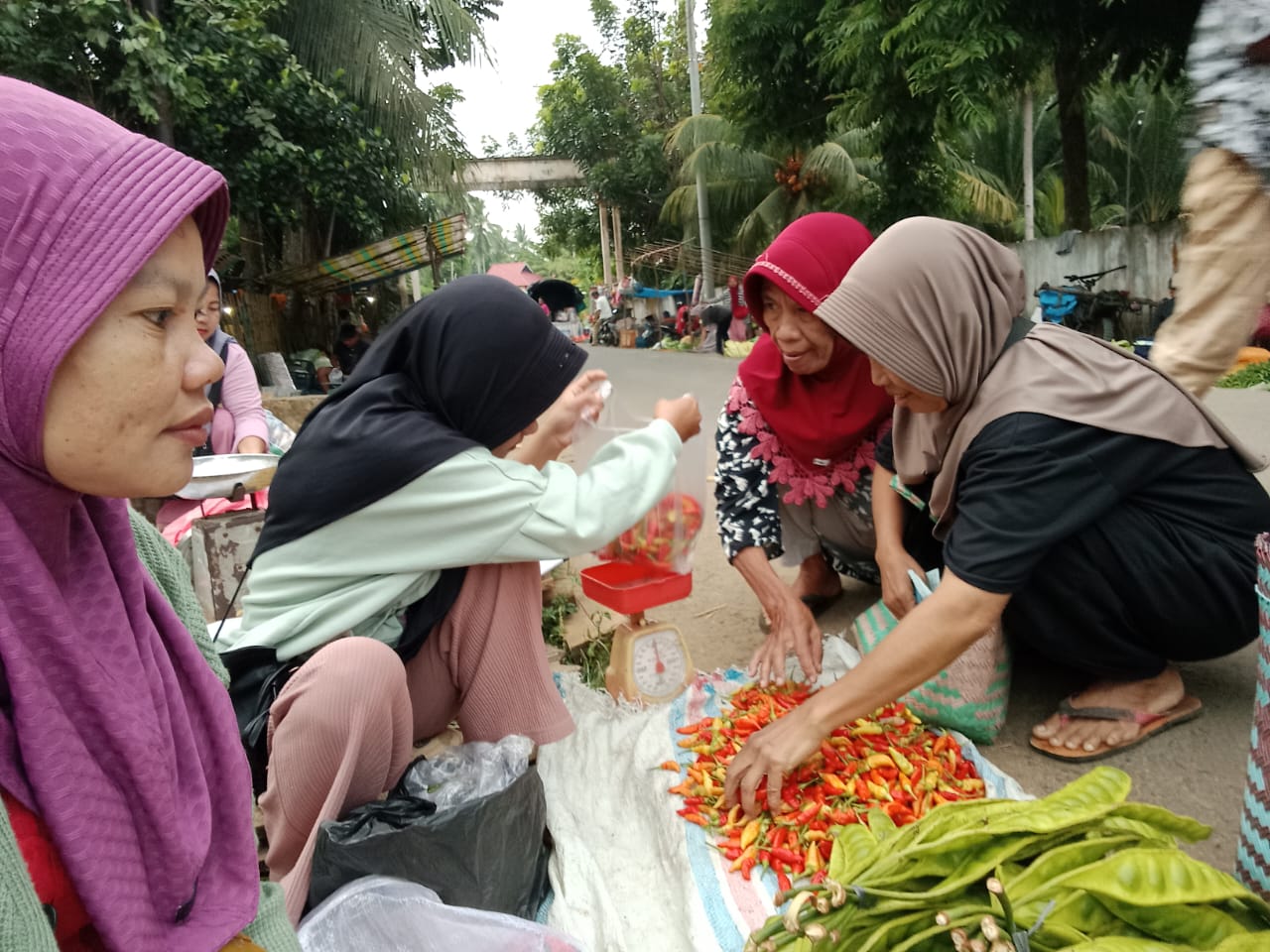 Harga Cabai di Seluma Makin Pedas, Tembus Rp85 Ribu per Kilogram