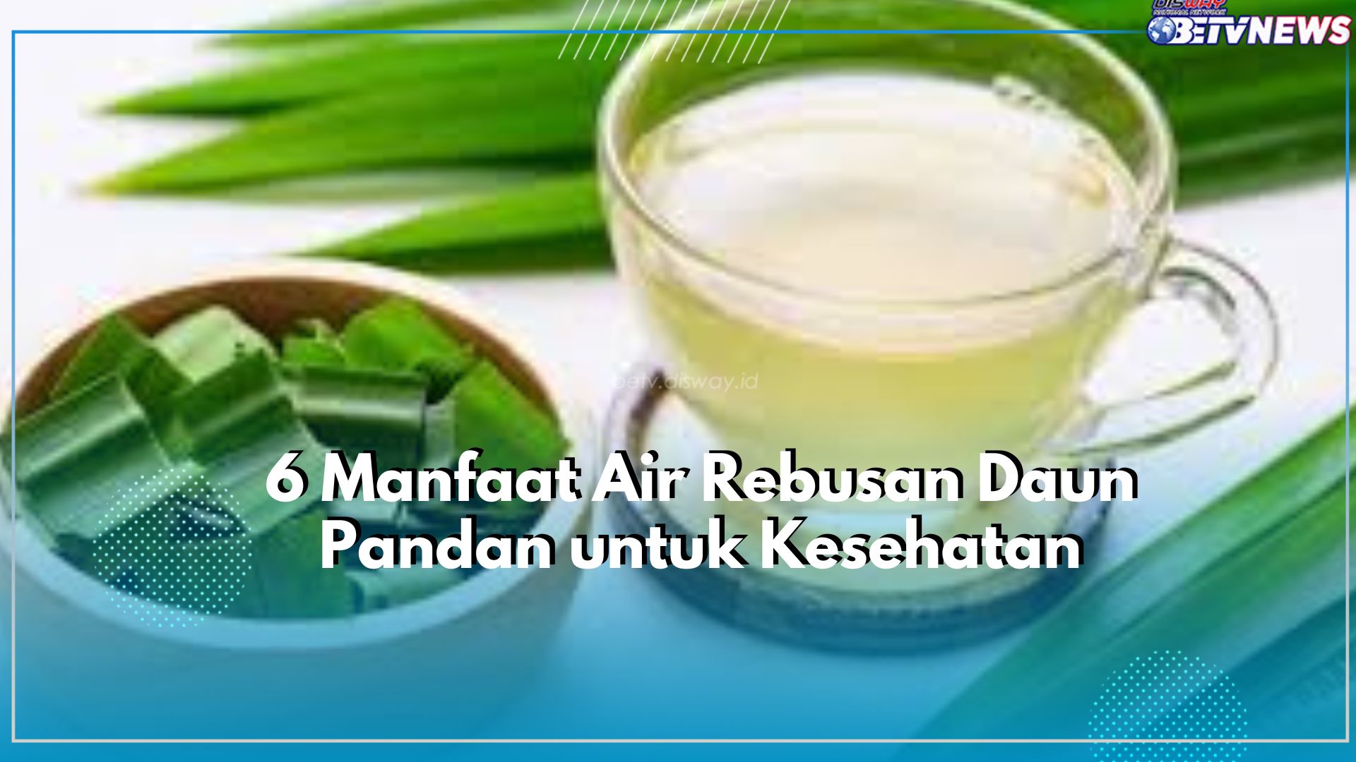 6 Manfaat Air Rebusan Daun Panda untuk Kesehatan, Salah Satunya dapat Meningkatkan Nafsu Makan