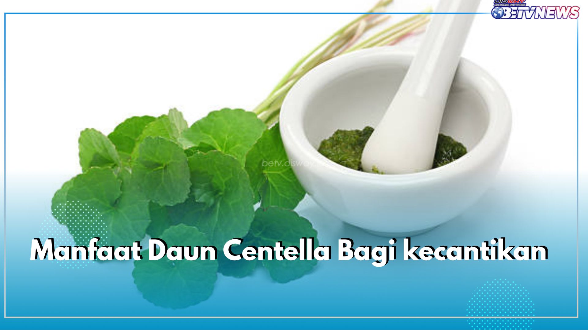 Mengandung Asiaticoside! Ini 9 Khasiat Daun Centella di Dunia Kecantikan, Bermanfaat untuk Kulit