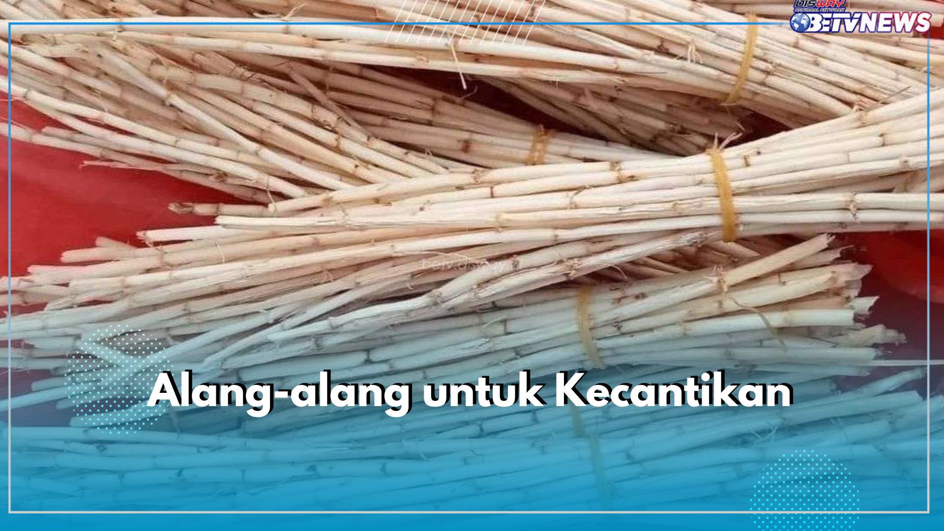 Sering Dianggap Hama, Akar Alang-alang Punya Khasiat Tersembunyi, Cek di Sini Manfaatnya untuk Kecantikan