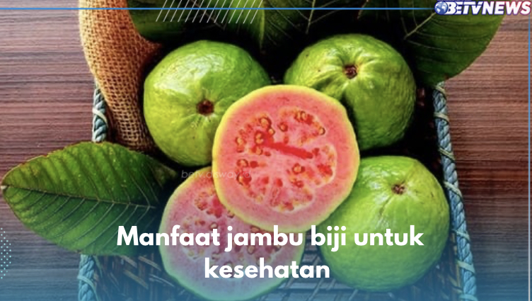 Baik Bagi Pengidap Kolesterol, Cek 8 Manfaat Lain Jambu Biji untuk Kesehatan di Sini