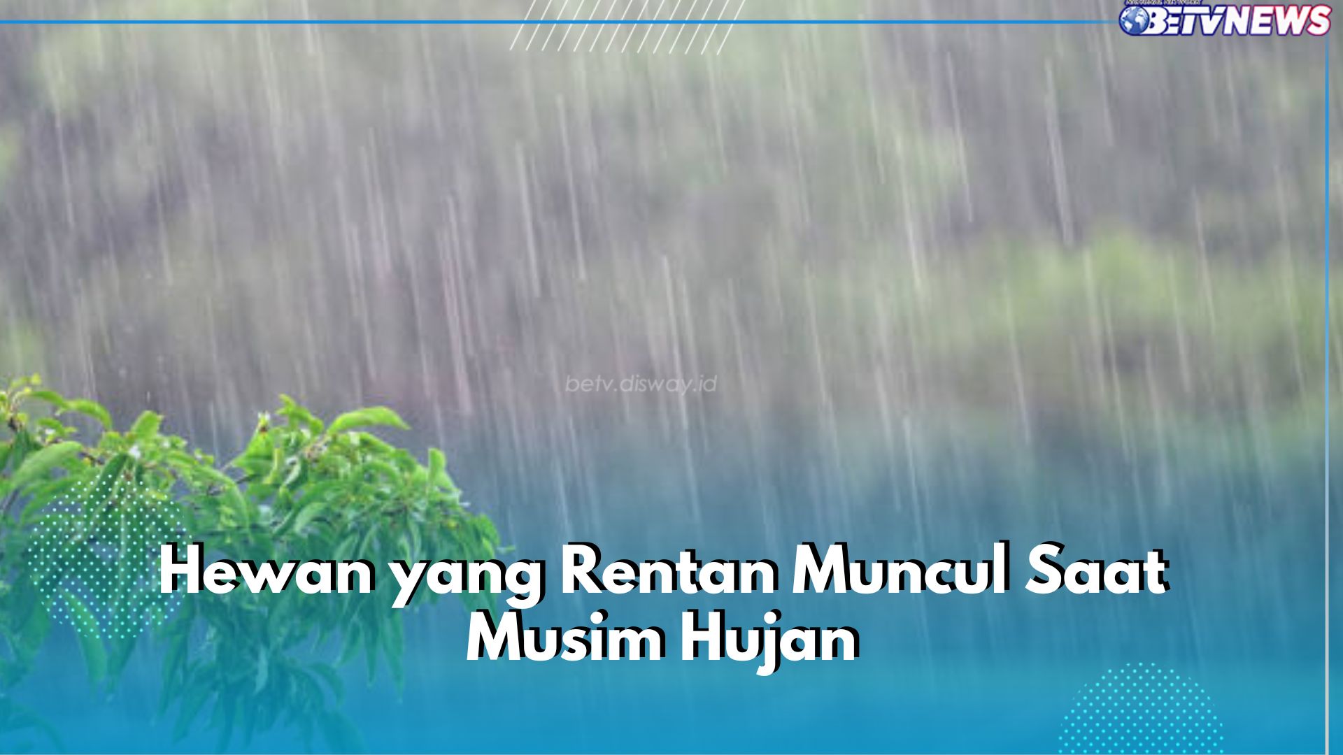 Bisa Bawa Penyakit! 6 Jenis Hewan Ini Rentan Muncul di Musim Hujan, Dari Nyamuk hingga Tikus