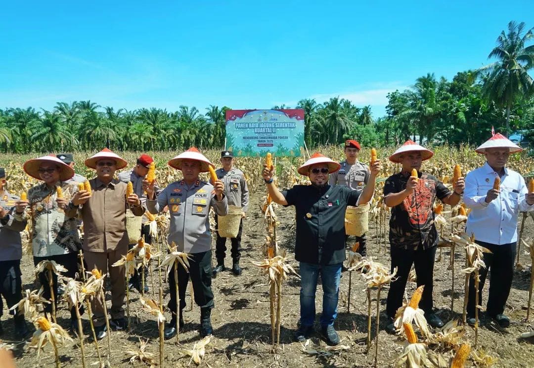 Gubernur Helmi Hasan Dukung Swasembada Pangan: Hasil Panen Jagung Kuartal II Bengkulu Capai 3.320 Ton