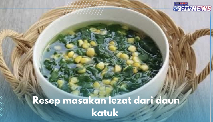 5 Resep Masakan Daun Katuk yang Lezat, Dijamin Bikin Makan Makin Lahap