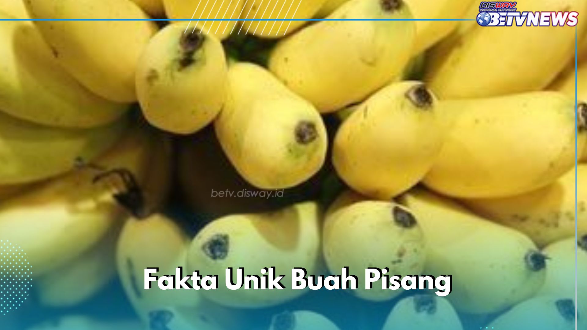 Wow! 9 Fakta Unik Buah Pisang, Ternyata Bunganya Dapat Dimakan, Cek di Sini