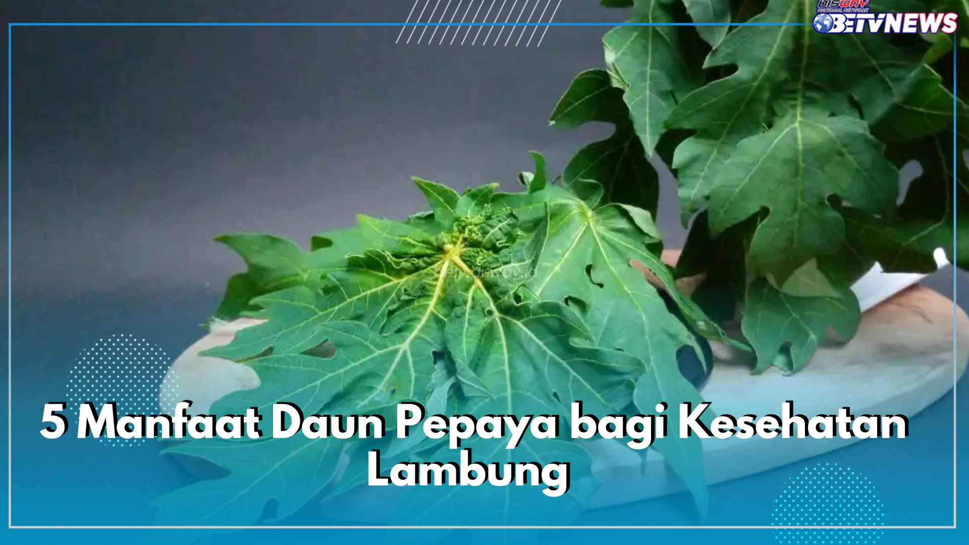 Kurangi Risiko Radang hingga Percepat Penyembuhan Luka, Inilah 5 Manfaat Daun Pepaya bagi Kesehatan Lambung