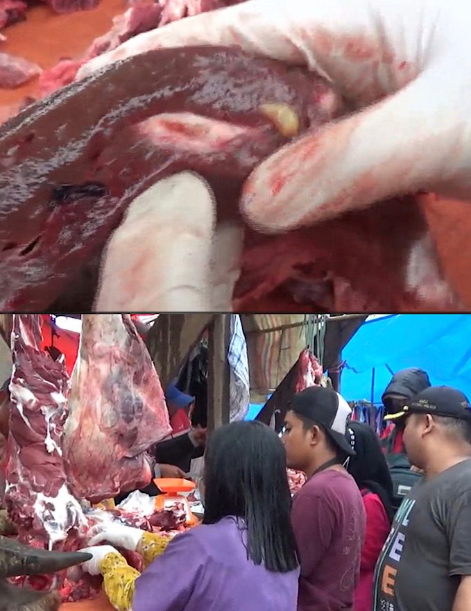 Periksa Daging yang Dijual Pedagang, Petugas Temukan Cacing Hati 