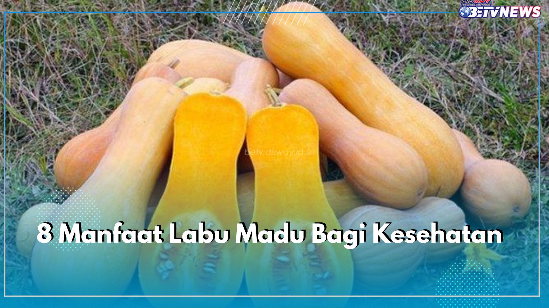 8 Manfaat Labu Madu Bagi Kesehatan, Baik Menjaga Mata hingga Mengurangi Risiko Kanker, Cek di Sini!