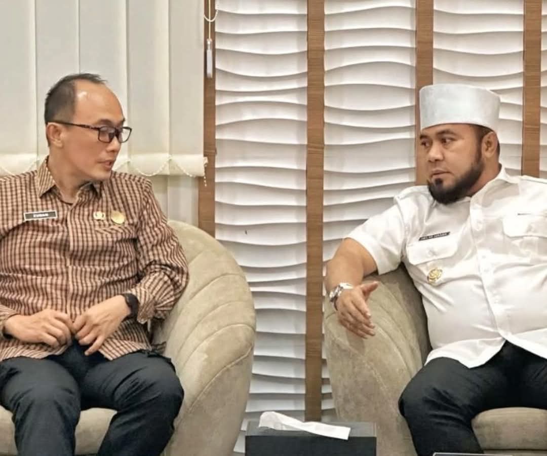 Gubernur Helmi Hasan Audensi Bersama BKN Bahas Persoalan ASN hingga PPPK