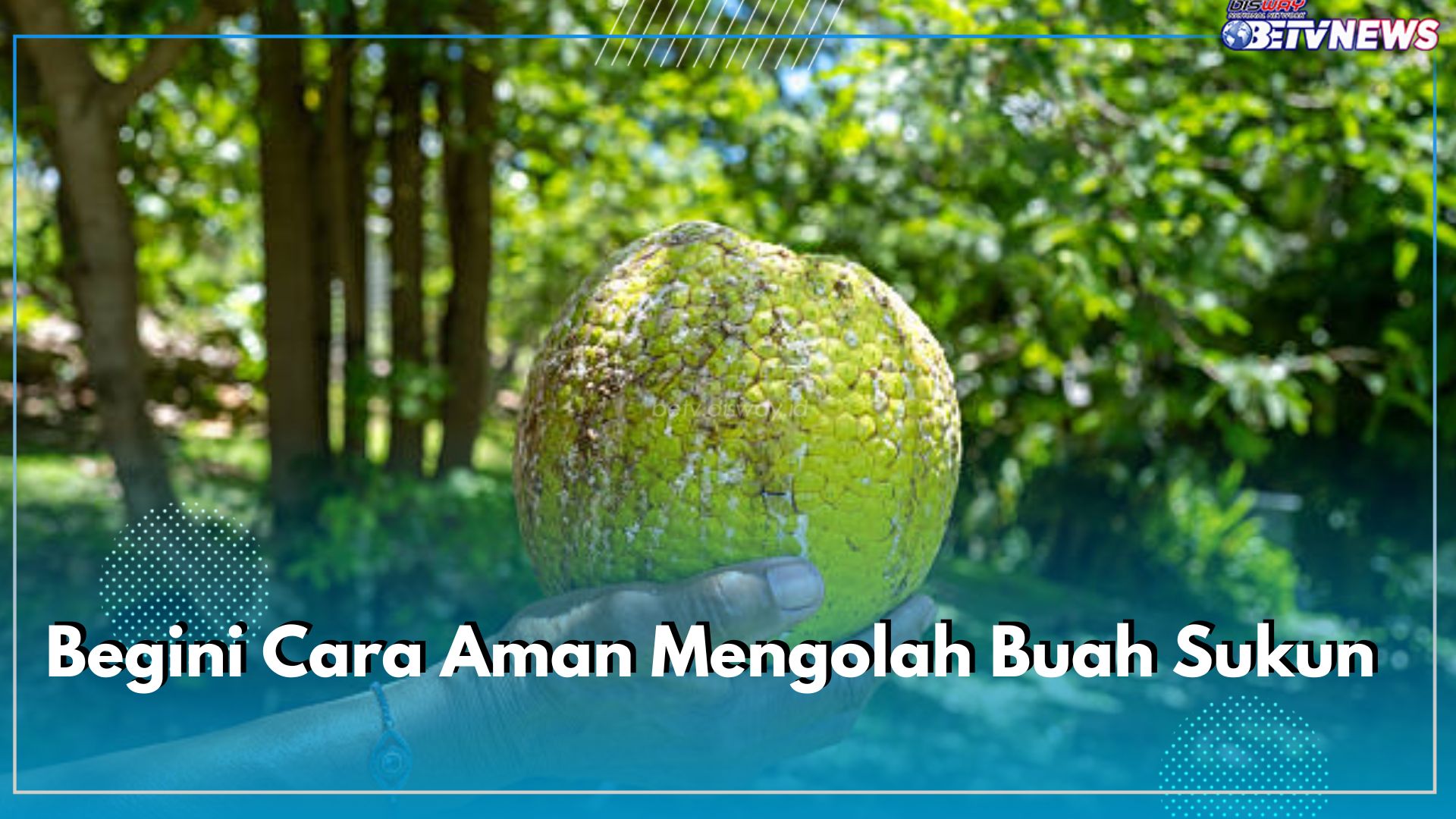 Penderita Diabetes Harus Tahu, Begini Cara Aman Mengolah Buah Sukun, Boleh Dikonsumsi Setiap Hari