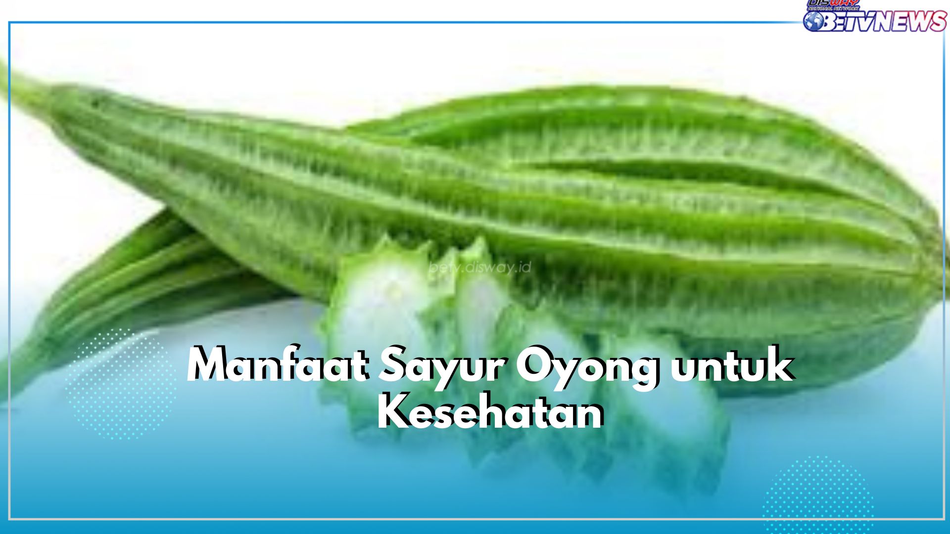 Inilah 5 Manfaat Utama Sayur Oyong untuk Kesehatan, Salah Satunya Cegah Infeksi Bakteri