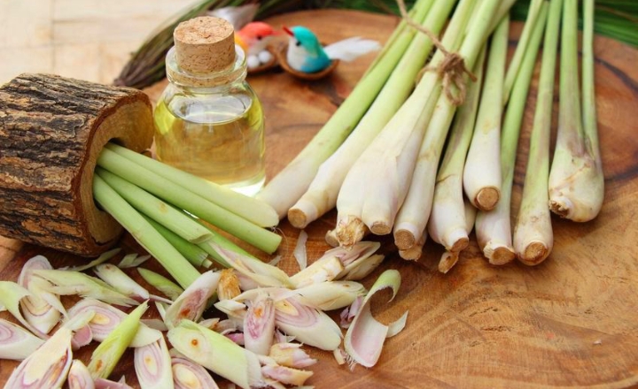 5 Manfaat Konsumsi Sereh Bagi Kesehatan Tubuh Anda, Cek Disini!