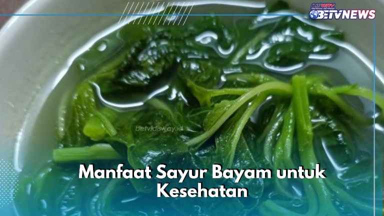 Cek di Sini, Manfaat Sayur Bayam untuk Kesehatan Tubuh, Dapat Menurunkan Risiko Gejala Asma