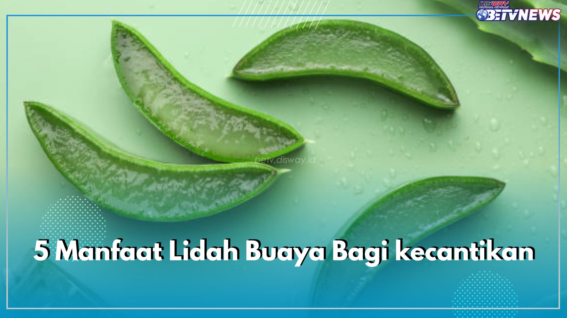 Dapatkan Wajah Mulus Terawat dengan Masker Lidah Buaya, Ini 5 Manfaatnya Bagi kecantikan