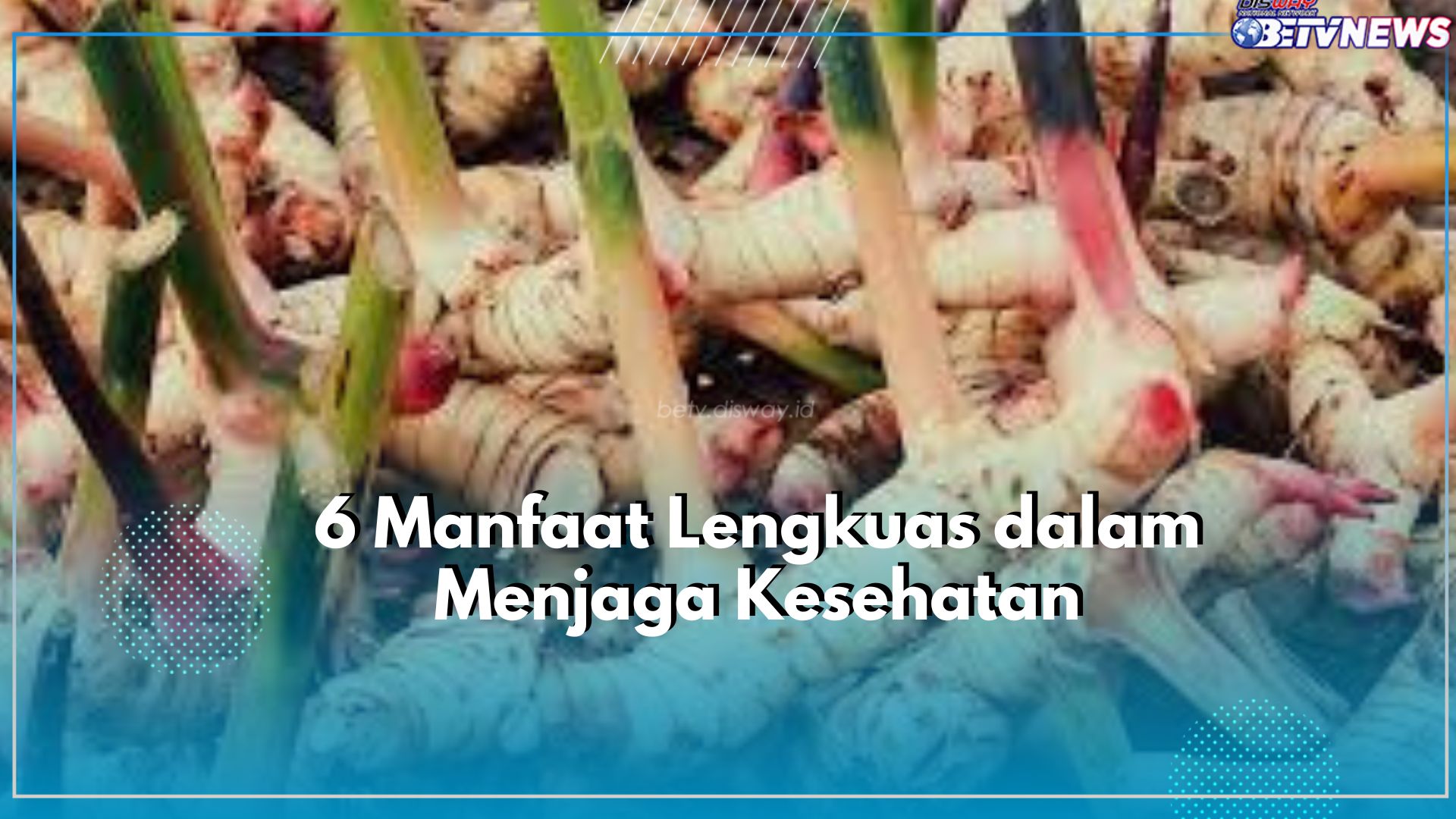 Tak Hanya Sebagai Rempah, Kenali Ragam Manfaat Lengkuas untuk Kesehatan, Ampuh Perkuat Sistem Imun 