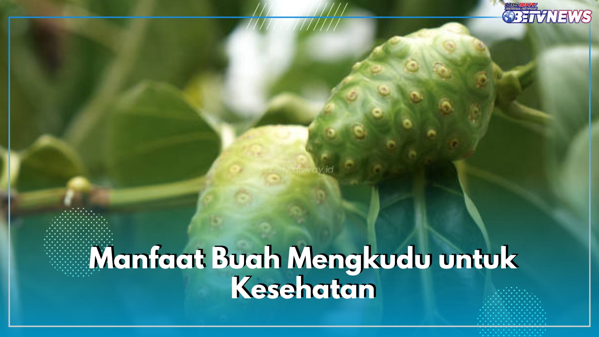 6 Manfaat Buah Mengkudu untuk Kesehatan, Bisa Bantu Kontrol Gula Darah